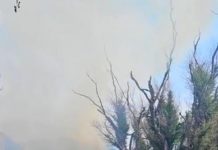 Se quema estructura de lo que era un negocio de venta de comidas
