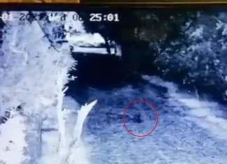 Captan supuesto duende corriendo en finca de Monterrey
