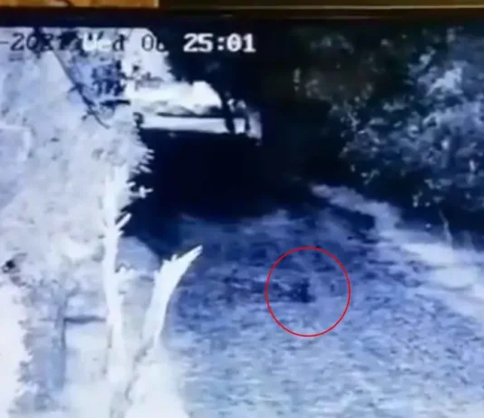 Captan supuesto duende corriendo en finca de Monterrey