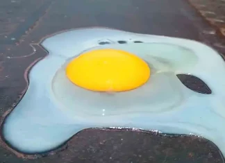 Así se coció un huevo en el pavimento ante intensa ola de calor en Veracruz