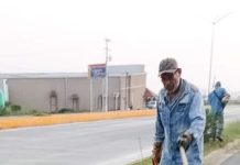 Servicios primarios realiza trabajos de limpieza y mantenimiento