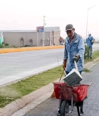Servicios primarios realiza trabajos de limpieza y mantenimiento