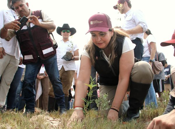 441896583_889594426516048_7272828933151883062_n