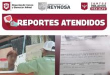 Sanciona Gobierno de Reynosa casos de maltrato animal