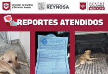 Privilegia Alcalde Carlos Peña Ortiz atención de denuncias ciudadanas