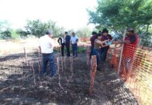 Impulsa Alcalde Carlos Peña Ortiz la agricultura urbana