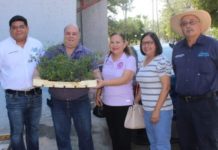 Reciben donación de plantas de chile del monte