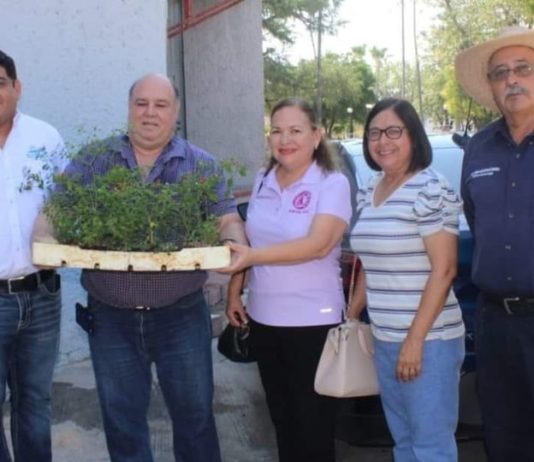 Reciben donación de plantas de chile del monte