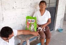 Continúa la entrega de croquetas para perritos y gatitos en la zona conurbada