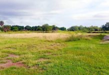 Realizan trabajos de limpieza y mantenimiento en la escuela primaria