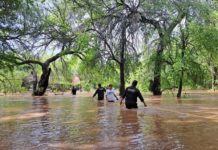 A través del Plan Tamaulipas realiza labores de auxilio en comunidades aledañas a ríos