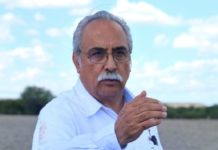 Ponen a disposición de los productores de maíz el Programa de Precios de Garantía