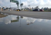 Aseguran otro cocodrilo en la vía pública de Altamira