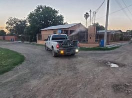 Realizan jornada de fumigación por diferentes zonas