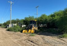 Implementan trabajos de limpieza en calles de Díaz Ordaz