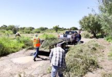 Implementan limpieza en auditorio municipal