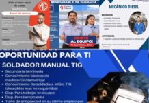 Gracias a la Feria Virtual del Empleo, más familias pueden contar con ingresos económicos seguros