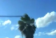 Arde unidad en conflictiva carretera a Río Bravo