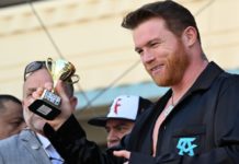 La increíble razón por la que Canelo Álvarez no deberá defender el título de la FIB