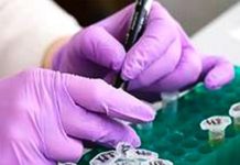 Cofepris aprobó el registro sanitario de dostarlimab