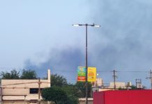 Exhortan a ciudadanos denuncia a Ecólocos