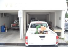 Trabaja la SS para prevenir el dengue; no hay casos