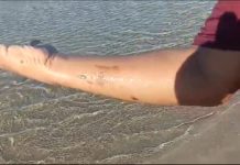 Presencia de hidrocarburo en playa miramar