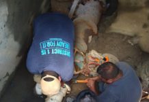 Reemplaza COMAPA válvula de agua en Planta de Bombeo de Bugambulias