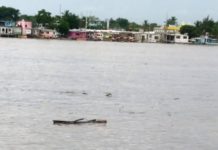 Ante el aumento del nivel del río Pánuco y arrastre de palizada recomiendan tomar precauciones