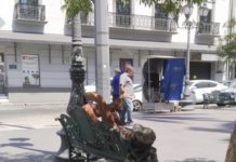 Aumenta número de enfermos de sus facultades mentales que deambulan en la zona centro de Tampico