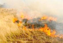 Incendios en pastizales y predios baldíos los mas socorridos por los bomberos