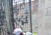 Realizó COMAPA limpieza de canastillas en EBAR’s 14 y 36
