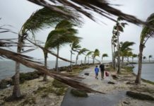 Vigila PC la posible formación de distribución tropical en el Golfo de México