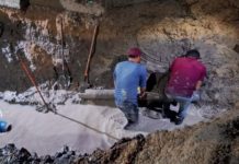 Repara COMAPA fuga de agua en la colonia Ribereña