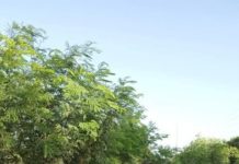 Mejora Alcalde Carlos Peña Ortiz infraestructura vial