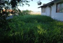 Servicios Primarios llevaron a cabo trabajos de limpieza en el Jardín de Niños Irma Sarabia