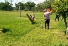 Erradican riesgo de dengue en asilo