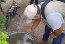Mantienen recorridos para la eliminación de criaderos del dengue