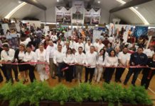 Ofrecen más de mil vacantes en Feria de Empleo Altamira 2024