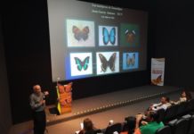Listos los parques de Tamaulipas abrirán toda la semana