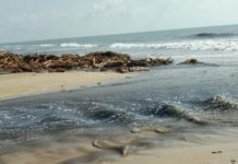 Atienden SEDUMA y Procuraduría Ambiental contaminación de empresa en Altamira