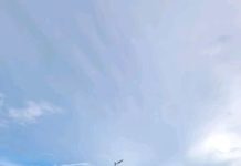 Toman medidas preventivas por lluvias en Río Bravo