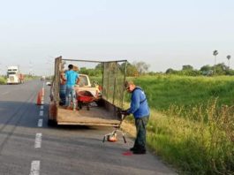 Realizan limpieza en tramos carreteros y accesos a la mancha urbana