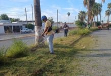 Embellece Gobierno de Reynosa infraestructura pública