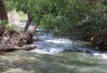 Supervisan atención y vigilancia en centros recreativos y balnearios.