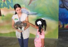En estas vacaciones de verano invitan visitar zoológico Tamatán