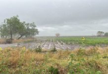 Agua de lluvia insuficiente para llenar presas, pero suficiente para el campo