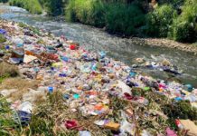 Exhortan a la población no arrojar basura a la calle ante la temporada de huracanes