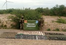 Ejército Mexicano Confisca Armas y Vehículos en los Límites de Tamaulipas y Nuevo León