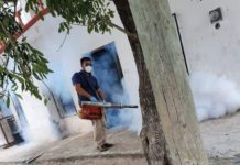 Intensifican campaña para erradicar criaderos potenciales de Dengue